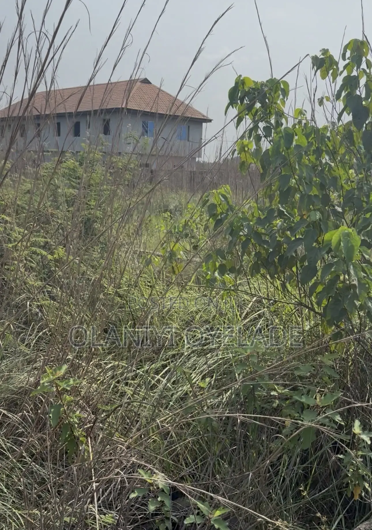 A Full Plot of Land With a Building Plan on It