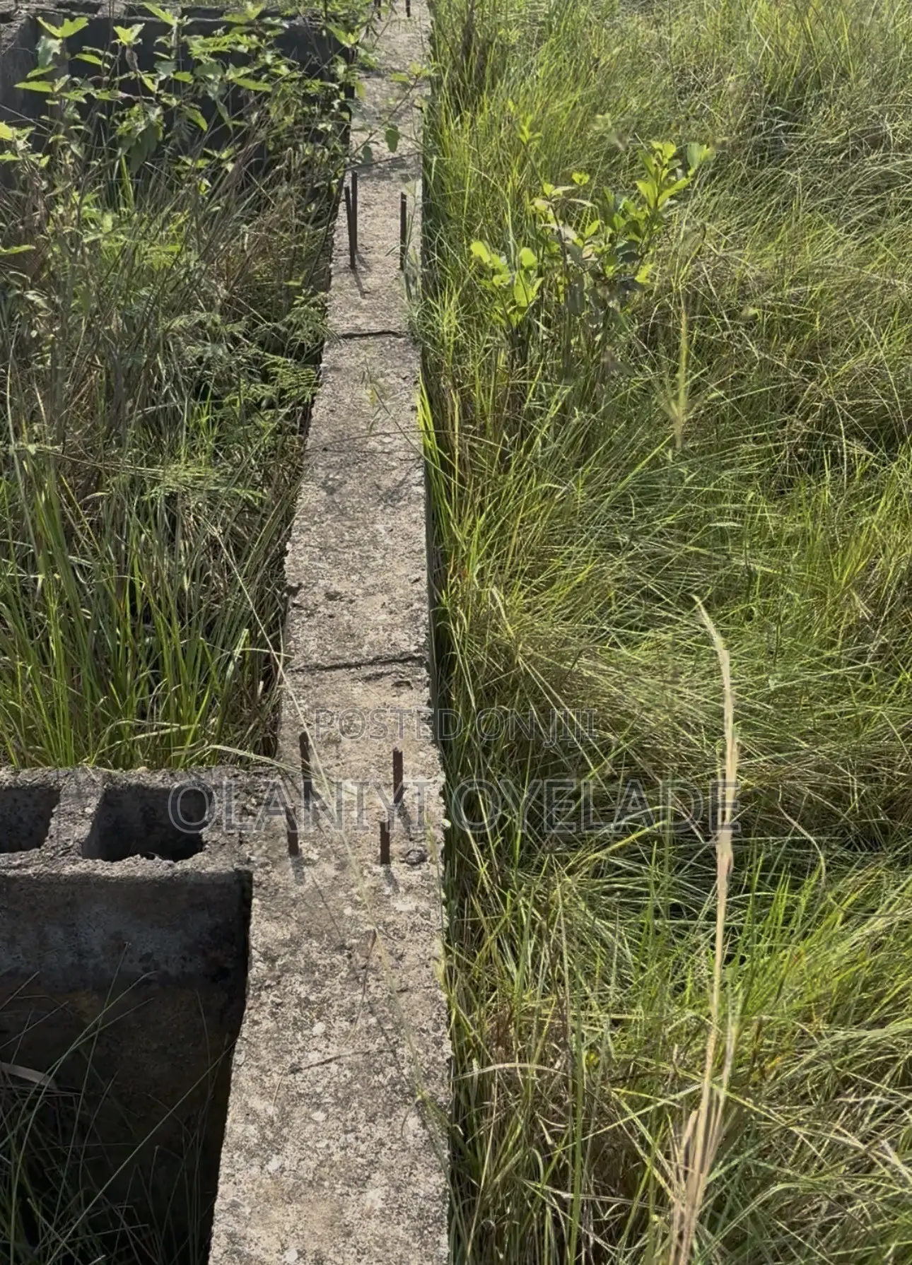 A Full Plot of Land With a Building Plan on It