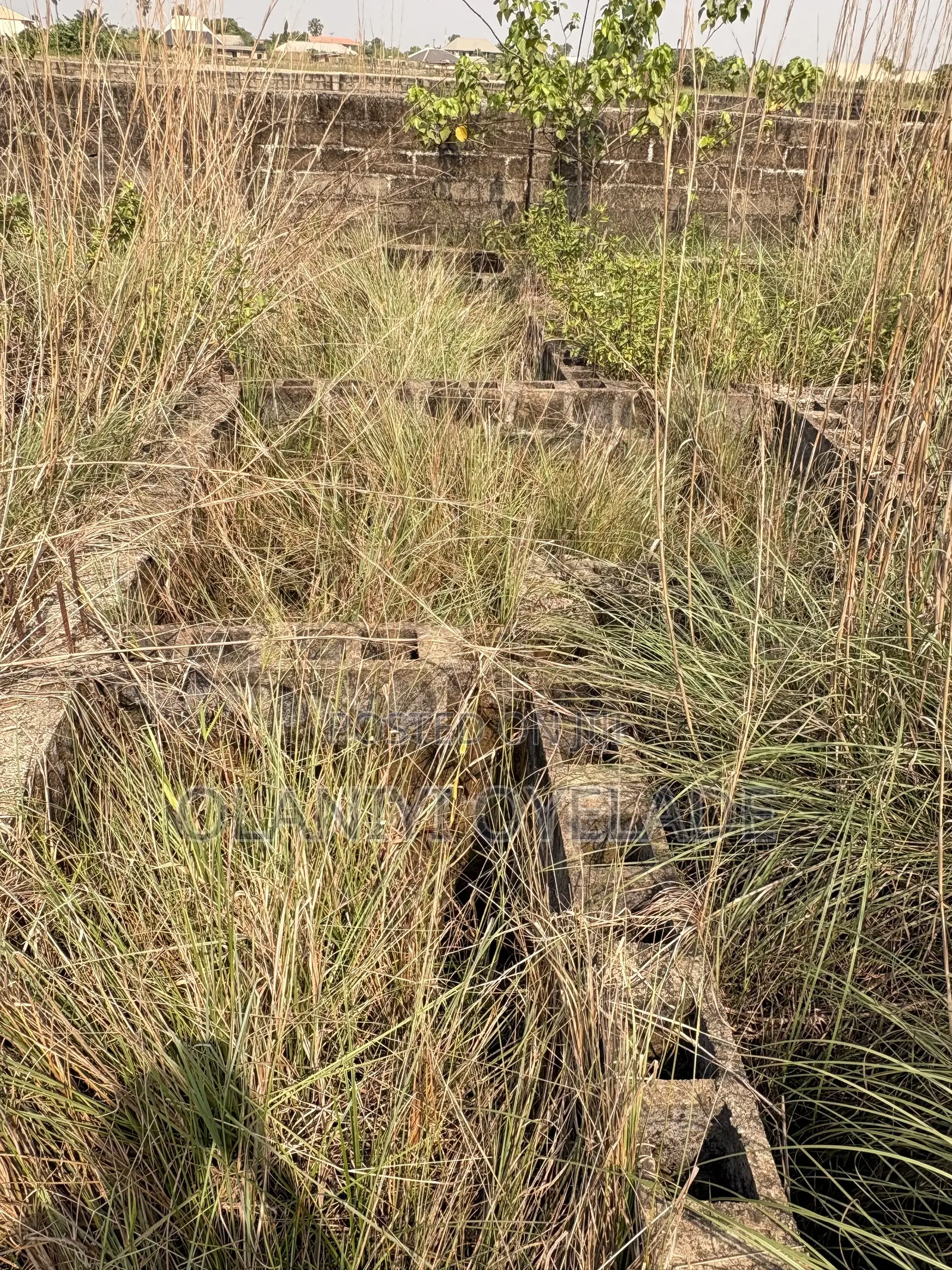 A Full Plot of Land With a Building Plan on It