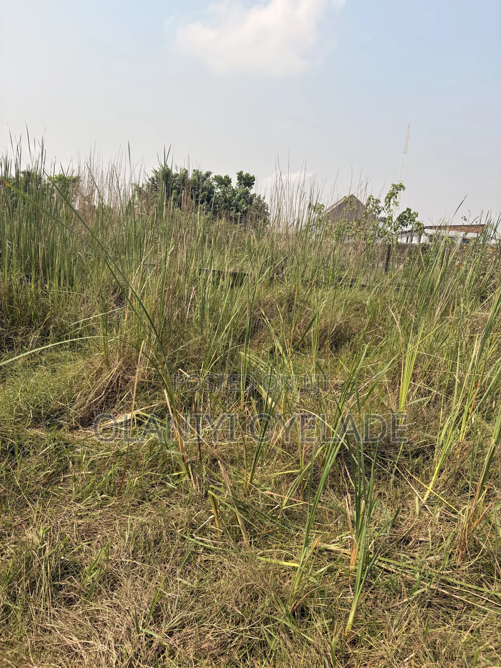 A Full Plot of Land With a Building Plan on It