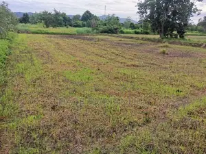 Avalon Royal Estate Residential Land for Sale