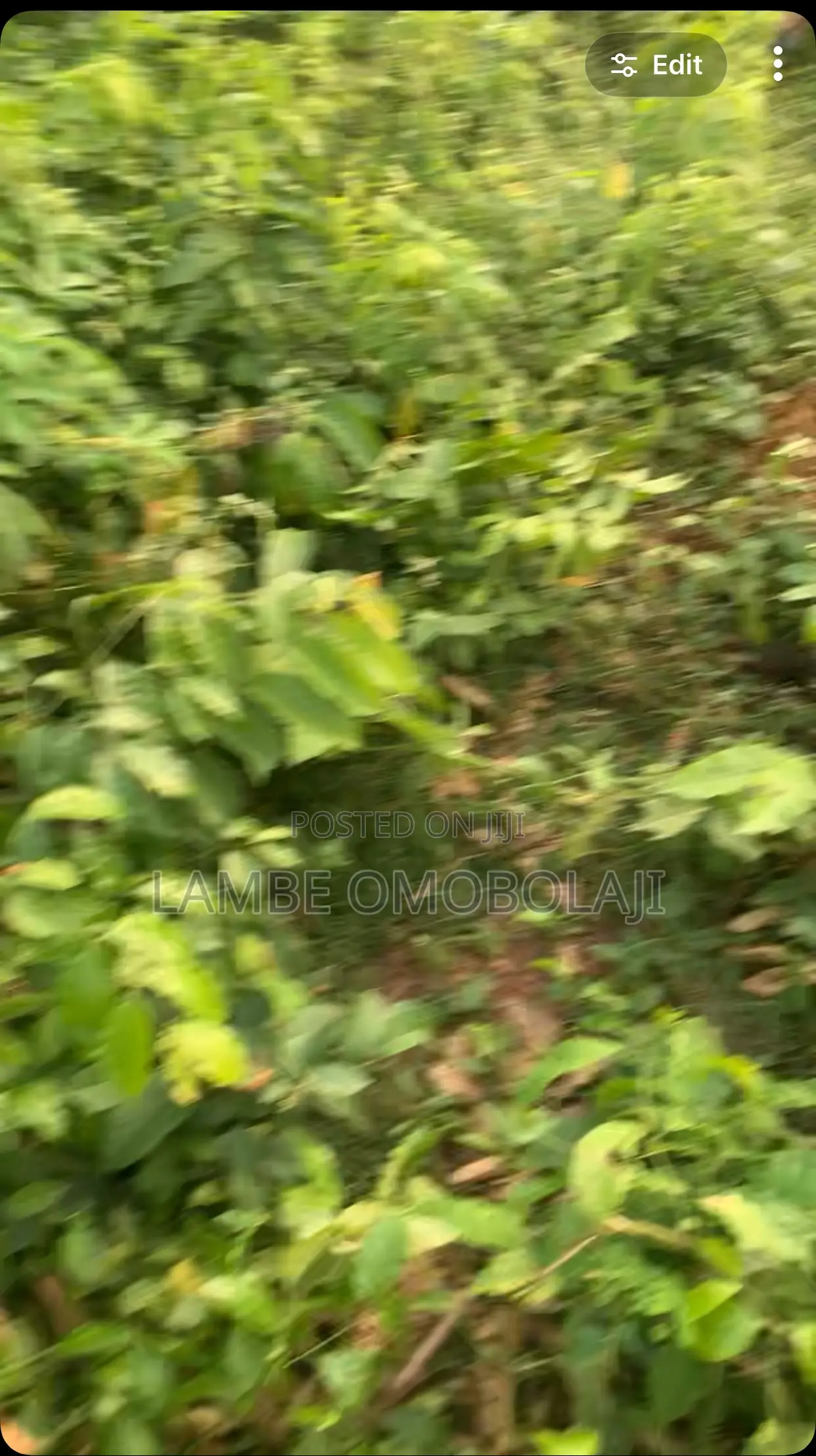 1 Plot of Land