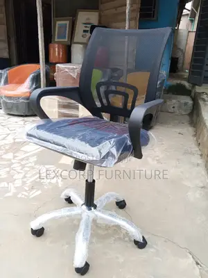 Office Net Chair