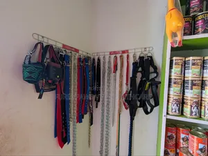 Collars Chains and Leashes