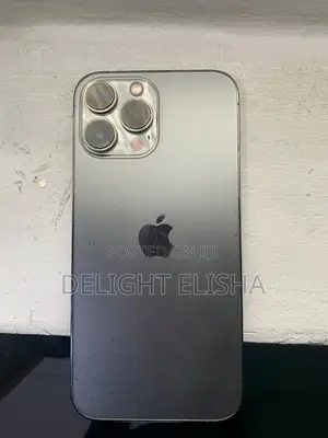 Apple iPhone 13 Pro Max 256 GB Gray