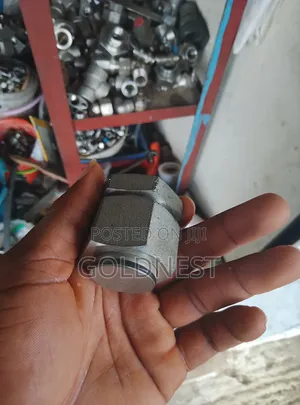 High-Pressure Hydraulic Blanking Plug