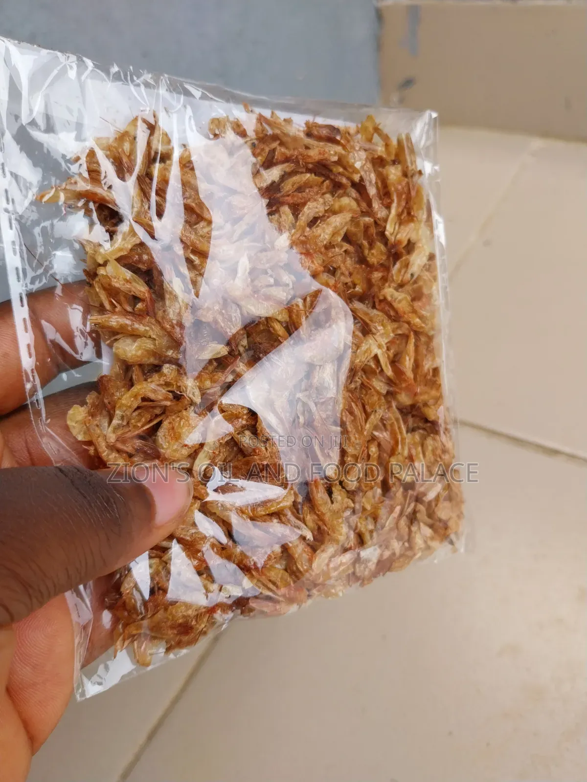 Clean Sand-Free Crayfish Souvenir
