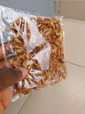 Clean Sand-Free Crayfish Souvenir