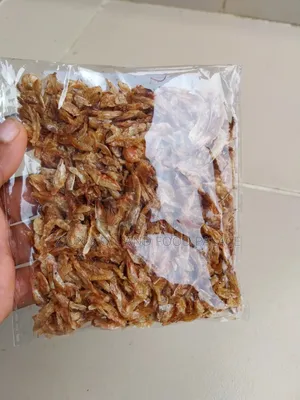 Clean Sand-Free Crayfish Souvenir