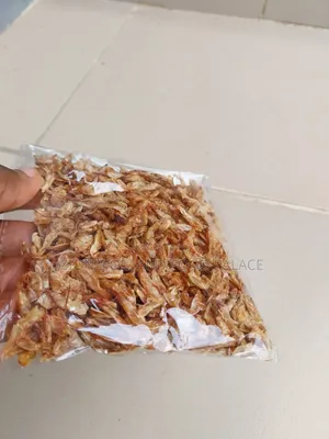 Clean Sand-Free Crayfish Souvenir