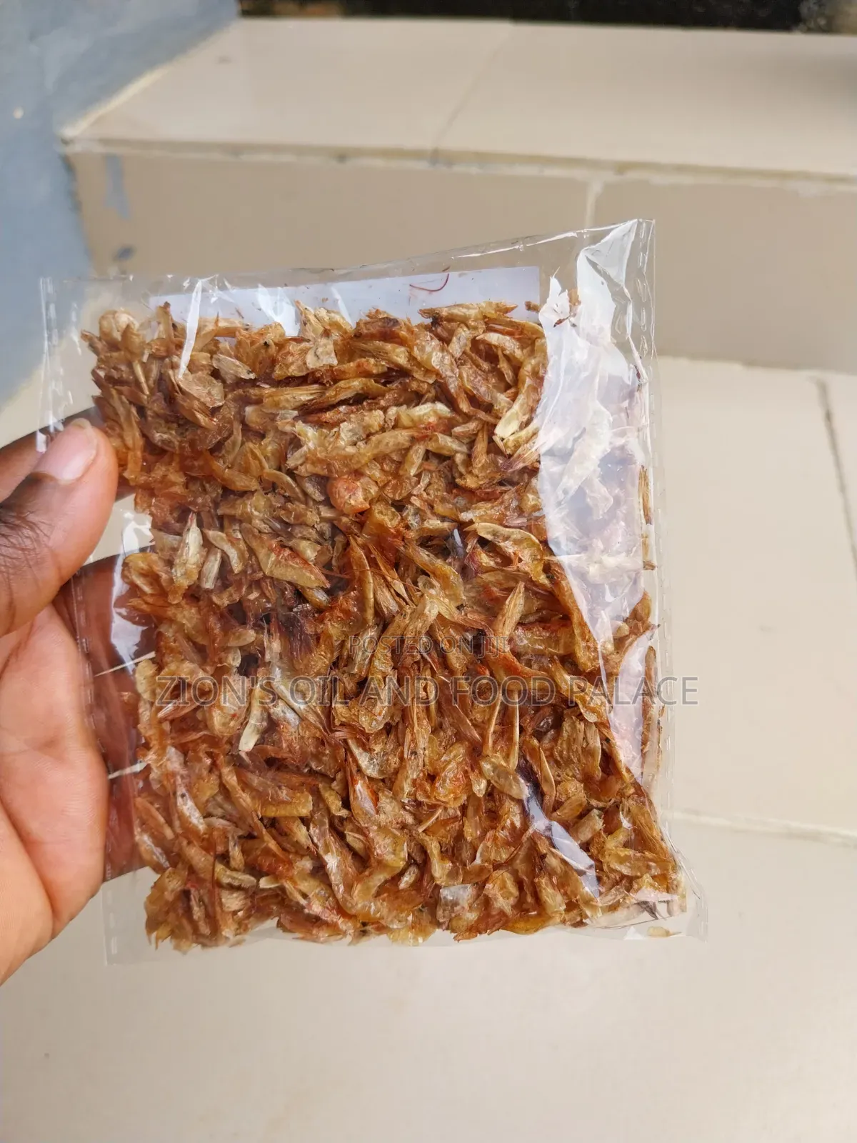 Clean Sand-Free Crayfish Souvenir