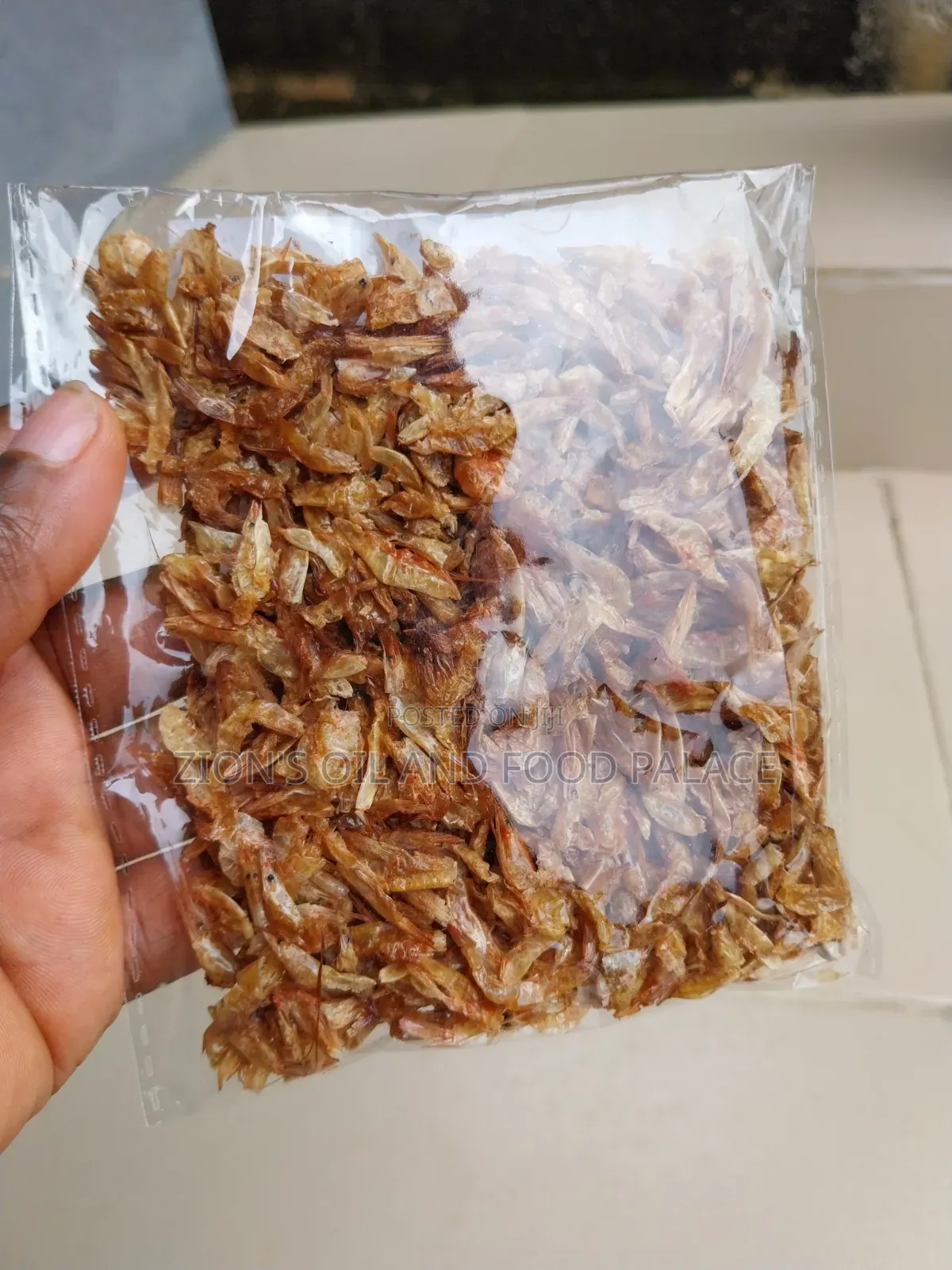 Clean Sand-Free Crayfish Souvenir