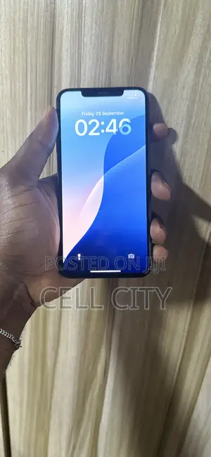 Apple iPhone XS Max 256 GB Black