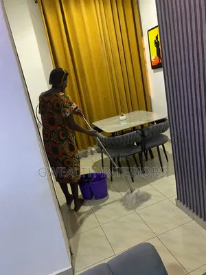 One Day Cleaner Available