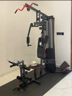 Single Station Multi-Function Gym Machine