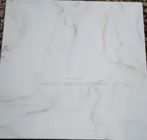 High Super Standard Quality 60*60 Floor Tiles