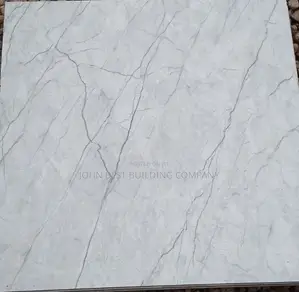 High Super Standard Quality 60*60 Floor Tiles