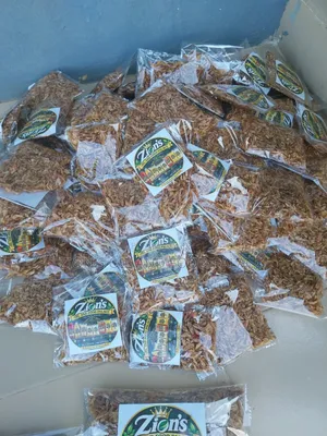 Clean Sand-Free Crayfish Souvenir