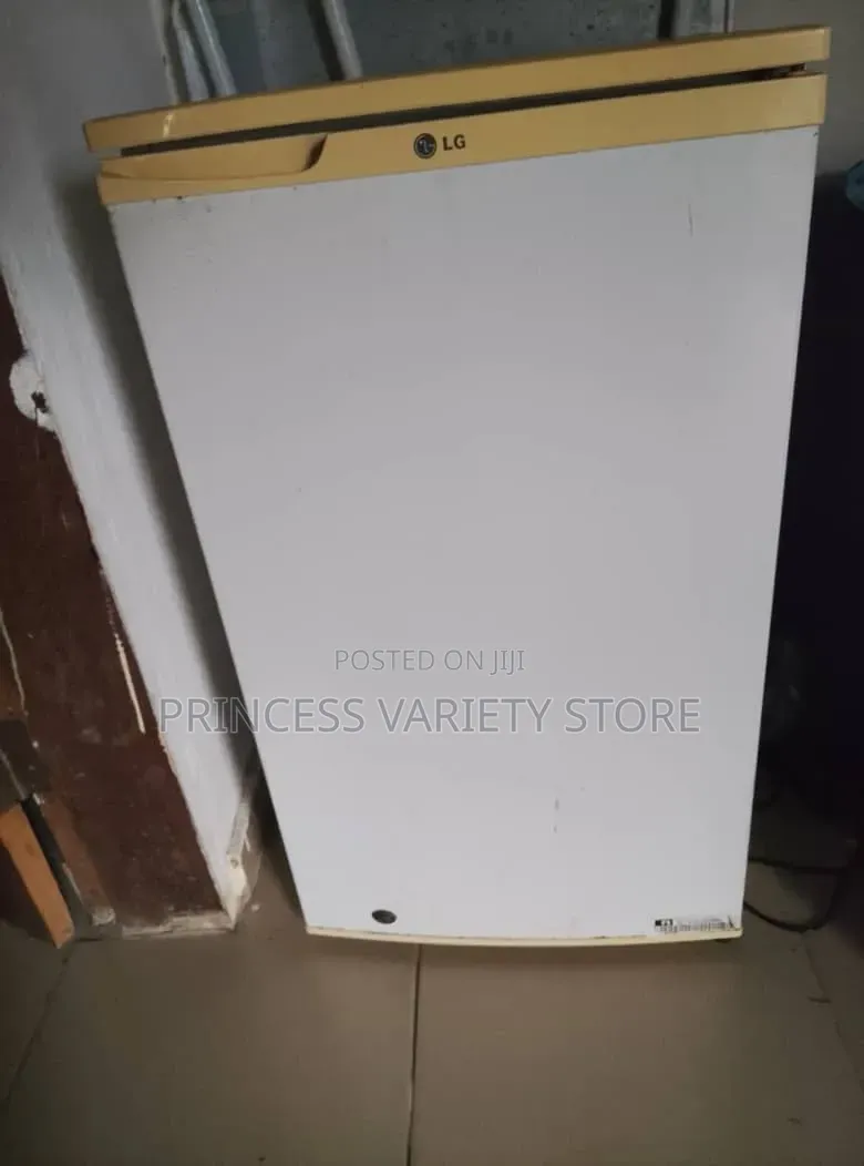 Standing Fridge With Freezer