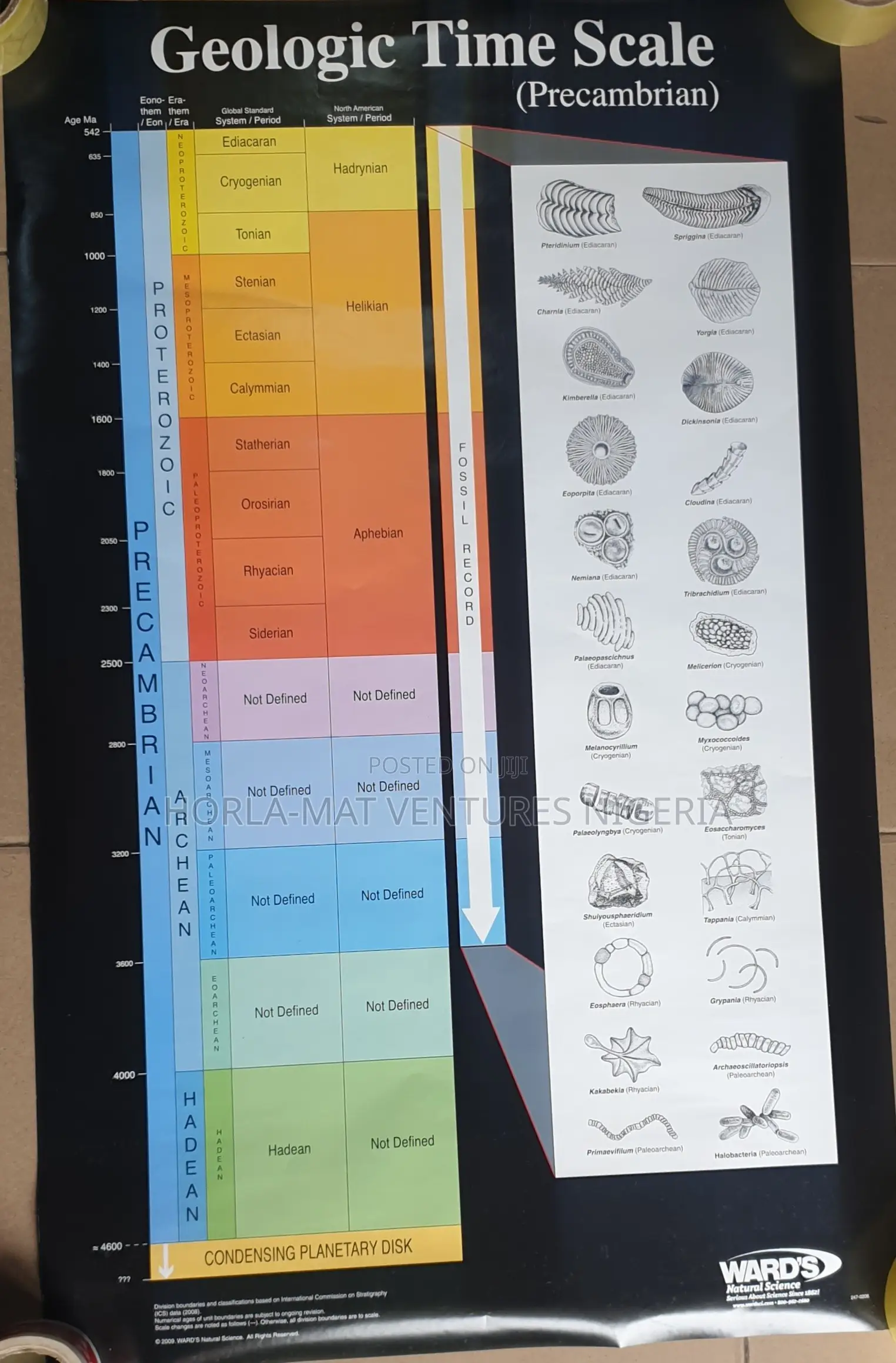 Geological Time Chart(B300)