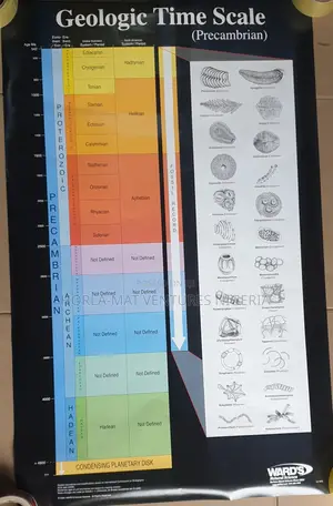 Geological Time Chart(B300)