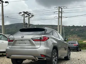 Lexus RX 2022 Gray