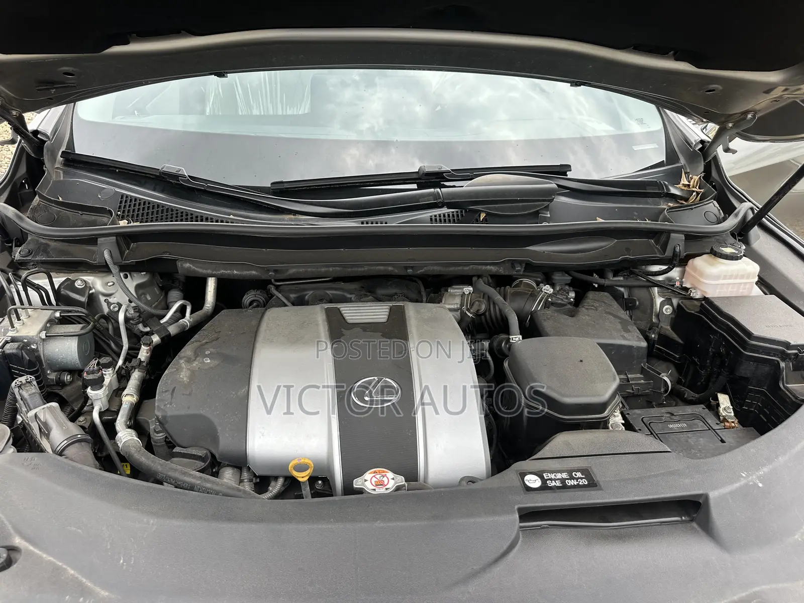 Lexus RX 2022 Gray