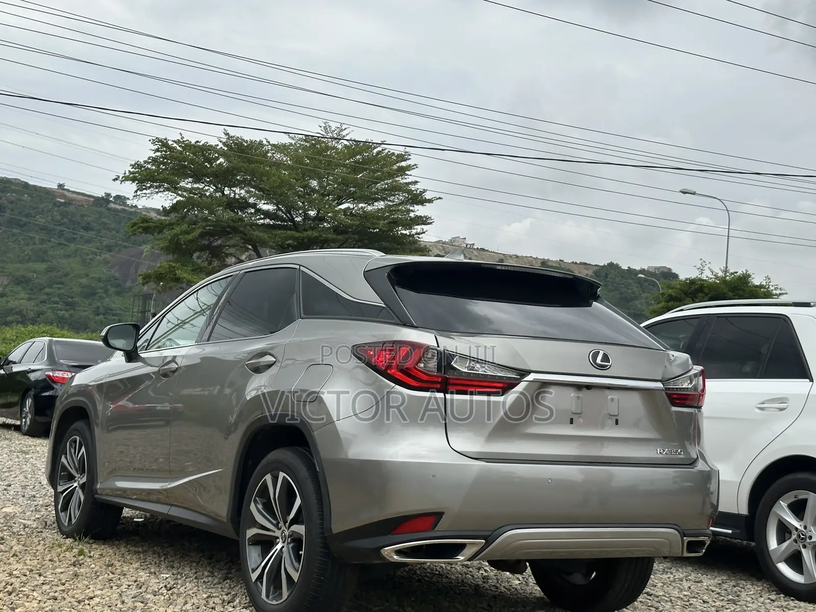 Lexus RX 2022 Gray