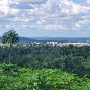 Plots of Land