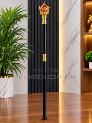 Men Fashion Walking Stick