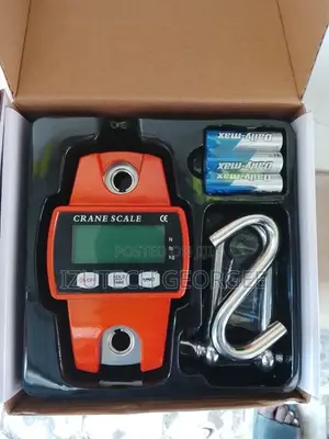 30kg Crane Scale