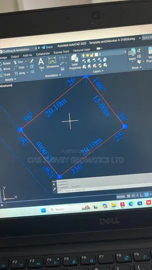 Land Surveyor