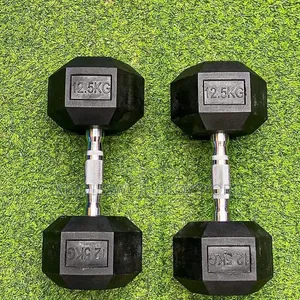 Dumbbells 12.5kg