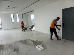 Elite Cleaning Service in Abuja