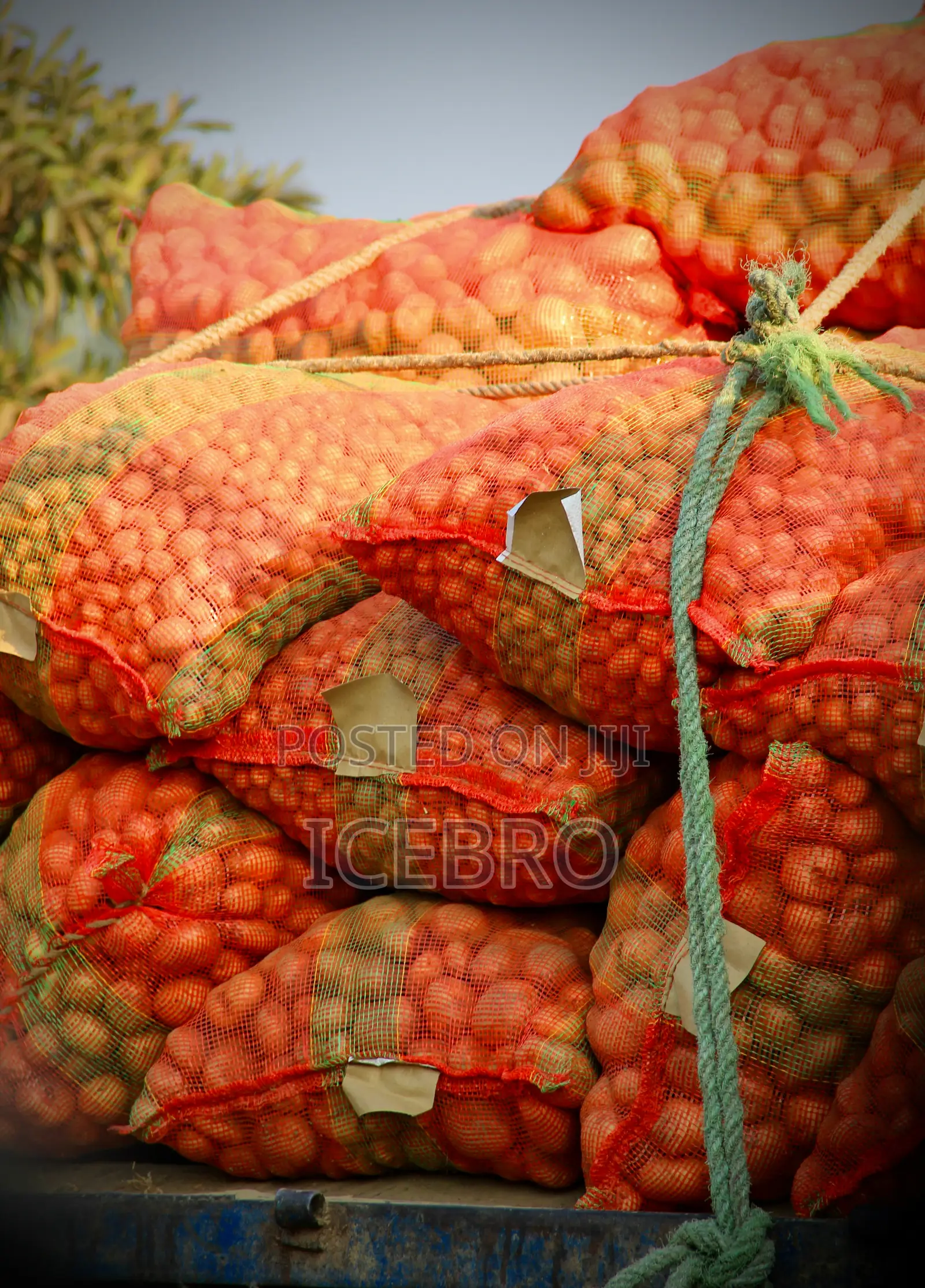 Heavy Duty Woven PP Sacks & Nets for Bulk Storage Packaging