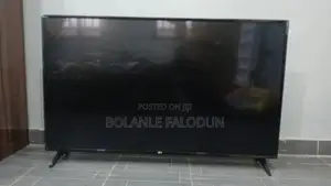 LG 55 Smart Television