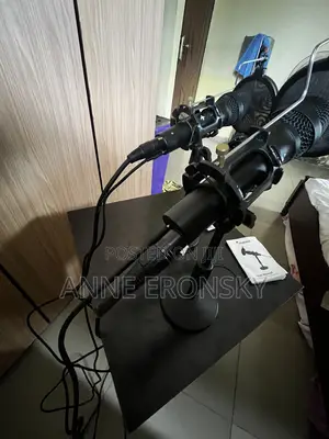 Dynamic Microphone