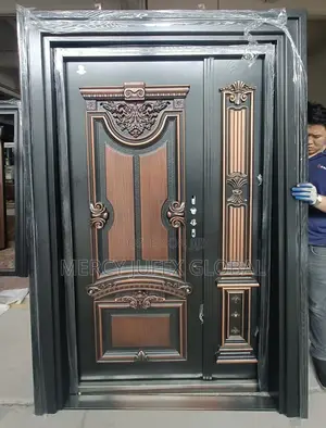 Elegant Steel Doors