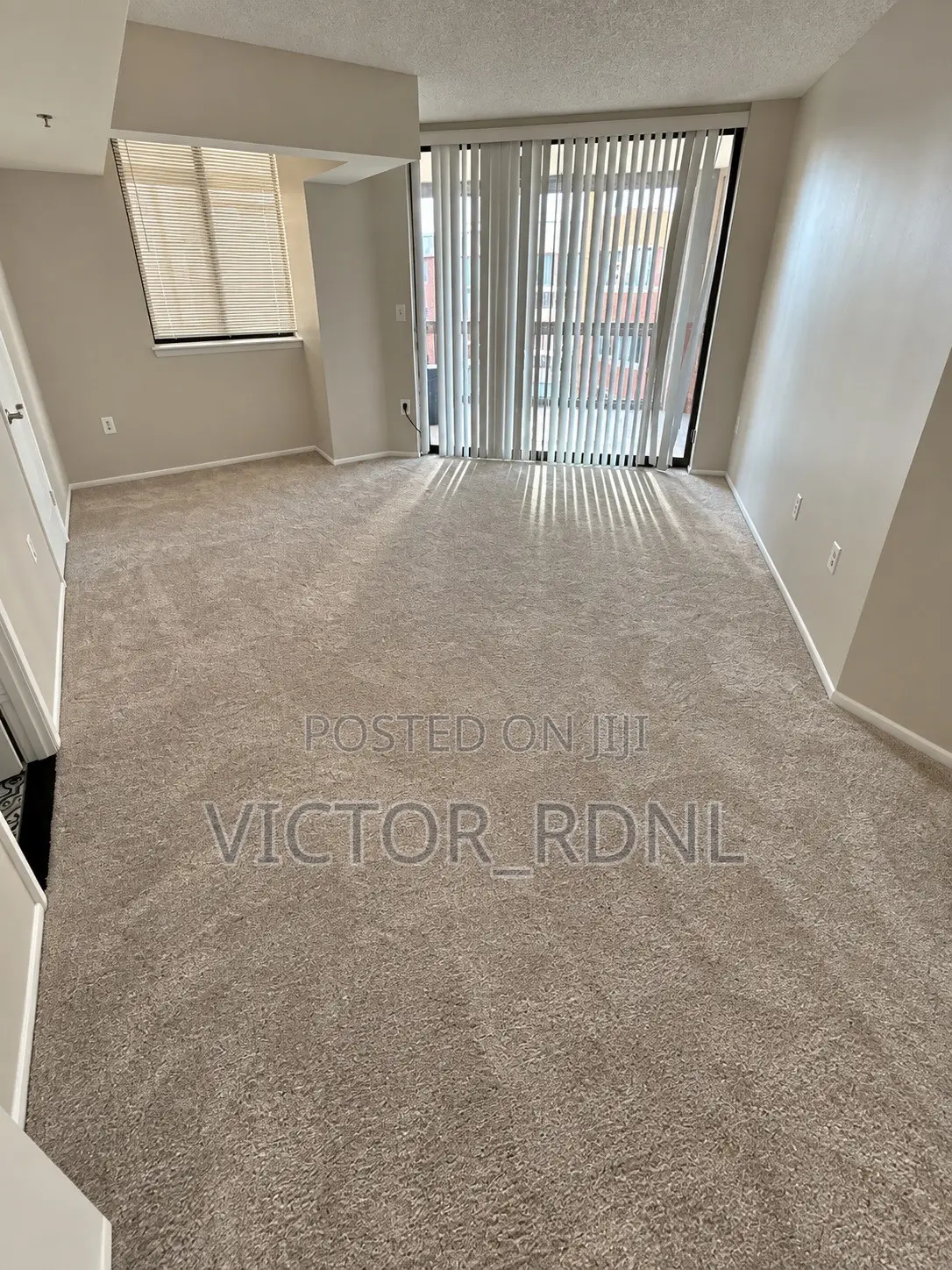 Wall to Wall Rug With Installation