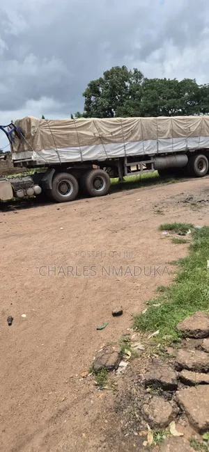 Dangote Cement Distributor