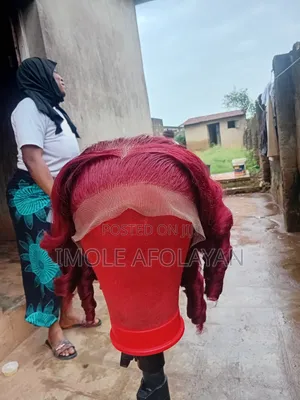 Affordable Luxury Hair