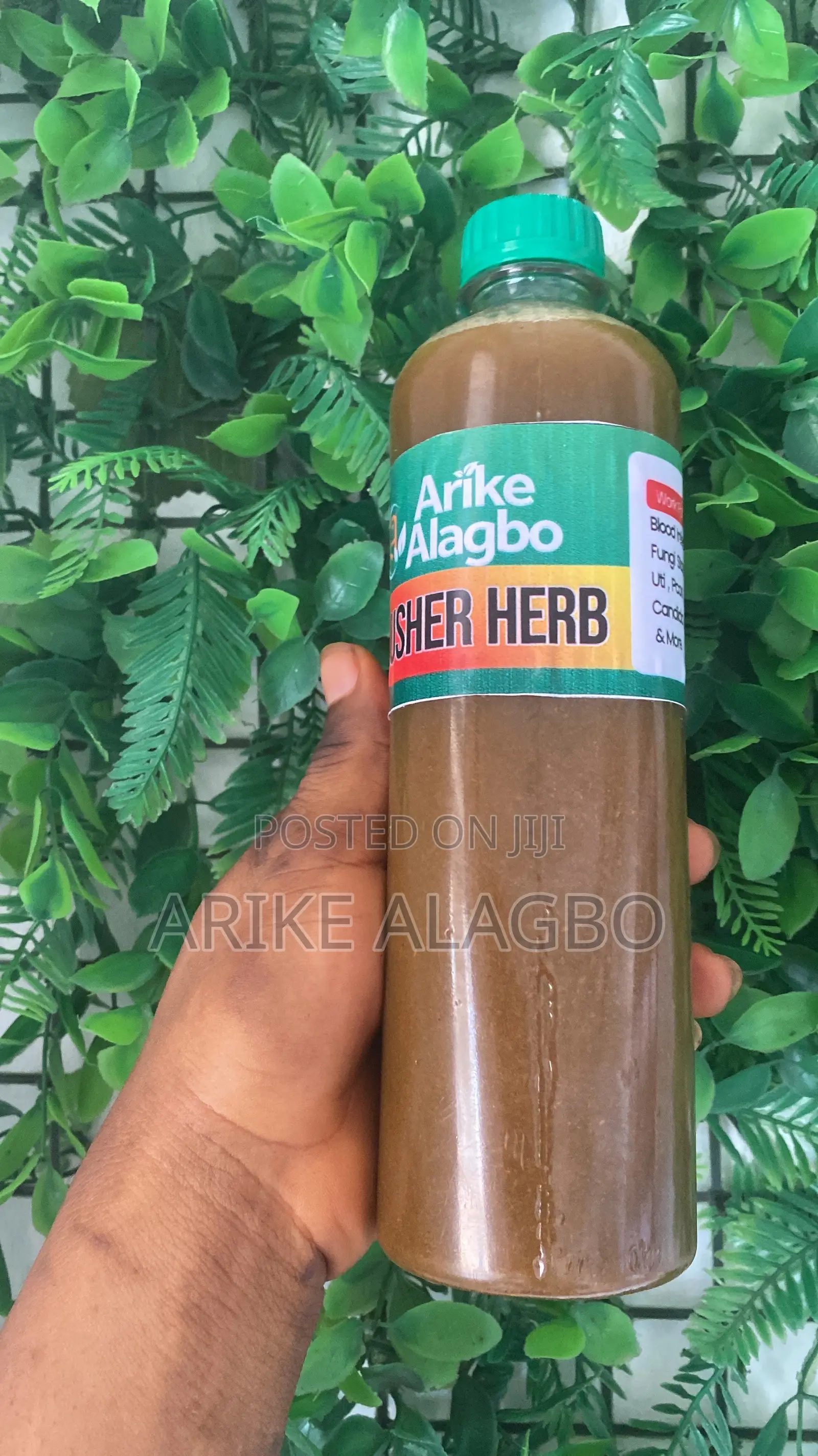 Infection Herbs