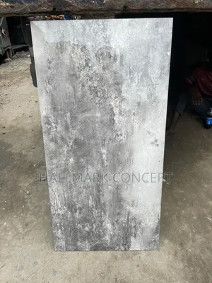 120x60 Polished India Tiles