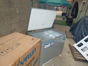 Skyrun 300L Deep Freezer Fast Freezing Performance