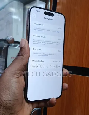 Apple iPhone 15 Pro Max 256 GB Silver