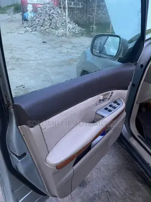 Lexus RX 2008 Silver