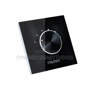 Wall-Mounted Glass/Rotary Volume Control Panel - Black Color