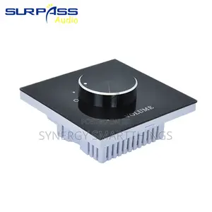 Wall-Mounted Glass/Rotary Volume Control Panel - Black Color