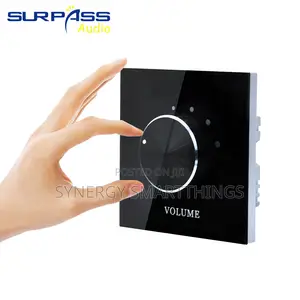 Wall-Mounted Glass/Rotary Volume Control Panel - Black Color
