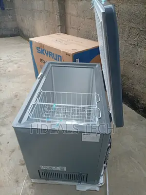 Massive Capacity Skyrun 300L Deep Freezer for Stores